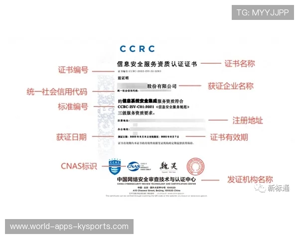 世界杯志愿者国际互认证书操作流程详解，世界志愿者官网